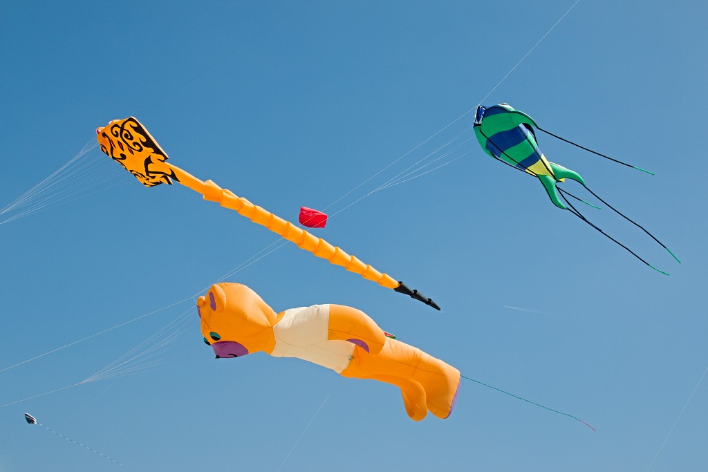 Cerfs-Volants vliegerfestival festival festiviteit evenement event berck sur mer vlieger speelgoed strand